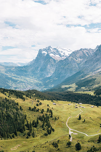valley with trees and winding path with snow capped mountains in background